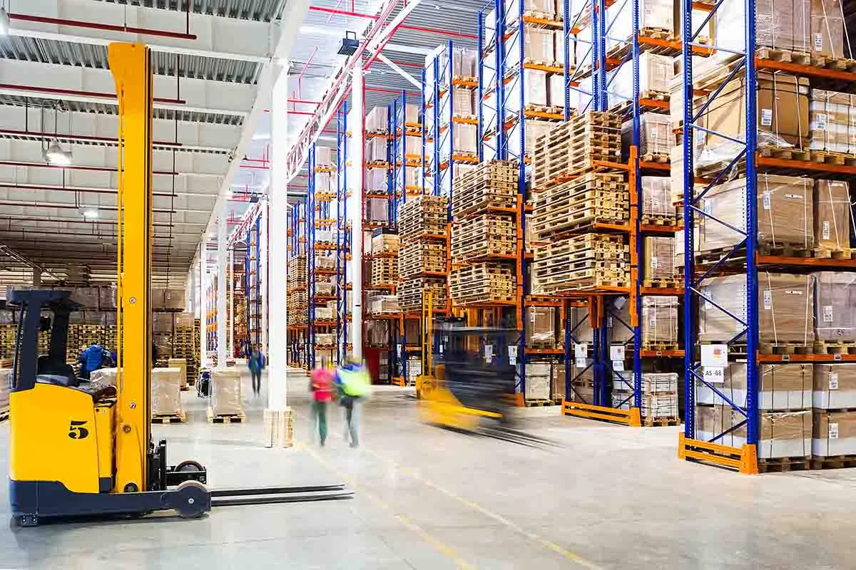 Packaging — SKU velocity, wastage, and line throughput.